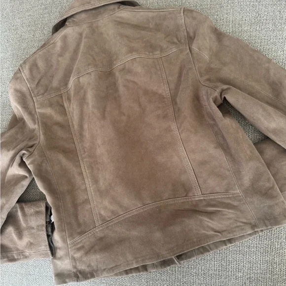 ALLSAINTS Dalby Moto Biker Suede jacket - Picture 6 of 11